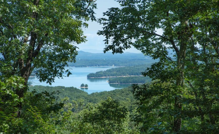 Falls and Other Treasures of Blue Ridge, Georgia – Part&nbsp;1